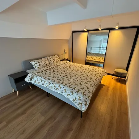 Loft Close To Old Town Vilnius